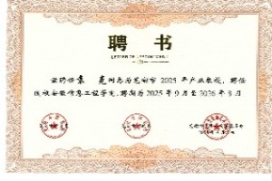 安徽信息工程學(xué)院產(chǎn)業(yè)教授